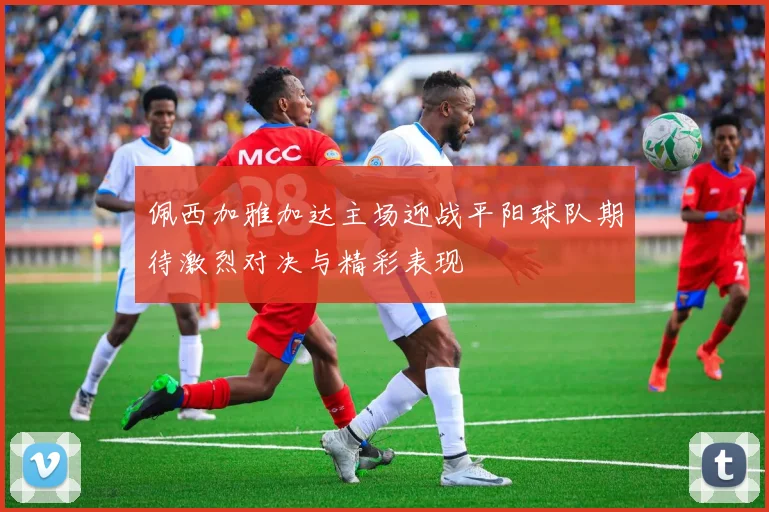 佩西加雅加达主场迎战平阳球队期待激烈对决与精彩表现