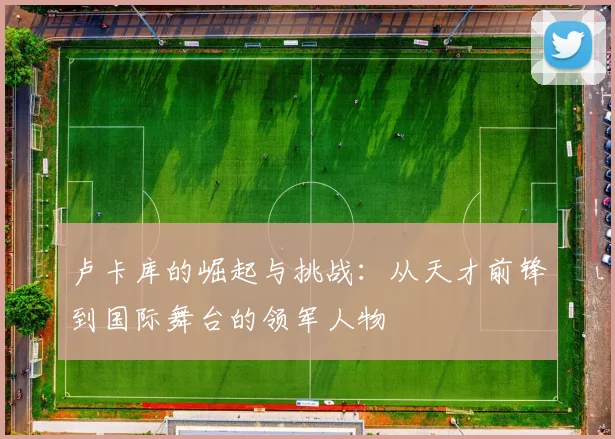 卢卡库的崛起与挑战：从天才前锋到国际舞台的领军人物
