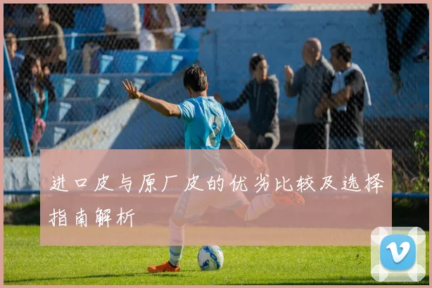 进口皮与原厂皮的优劣比较及选择指南解析