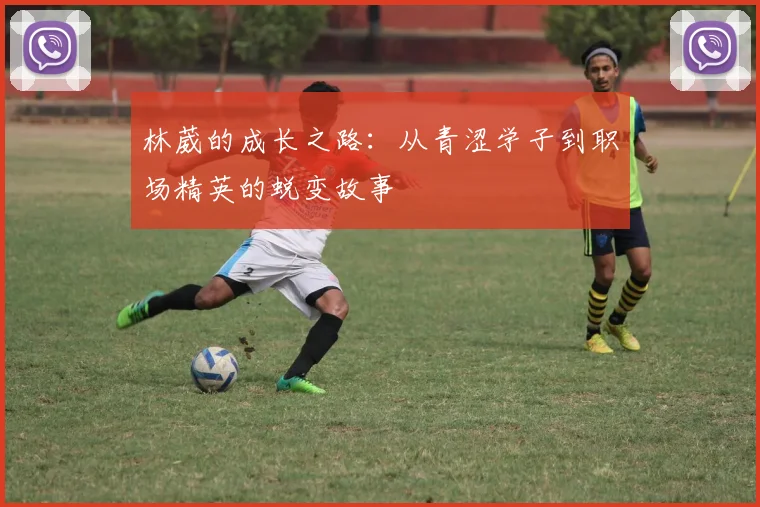 林葳的成长之路：从青涩学子到职场精英的蜕变故事