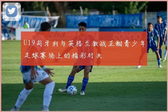 U19匈牙利与英格兰激战正酣青少年足球赛场上的精彩对决