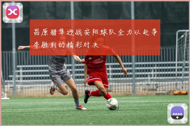 昌原猎隼迎战安阳球队全力以赴争夺胜利的精彩对决