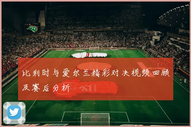 比利时与爱尔兰精彩对决视频回顾及赛后分析